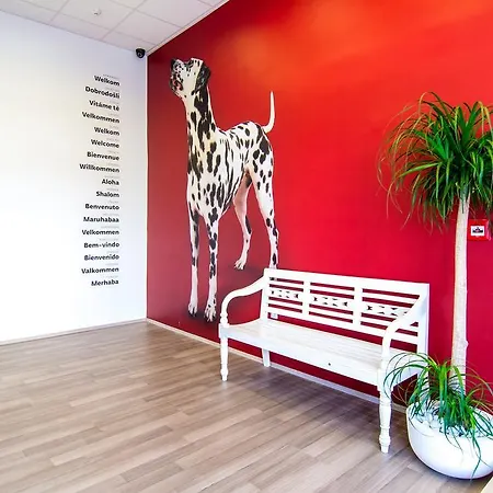 Design 101 Dalmatinac * 스플리트