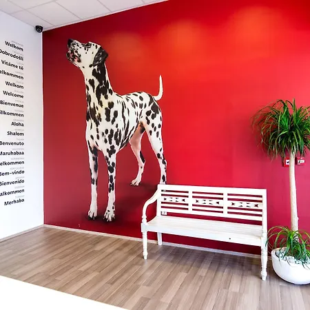 Design 101 Dalmatinac 스플리트