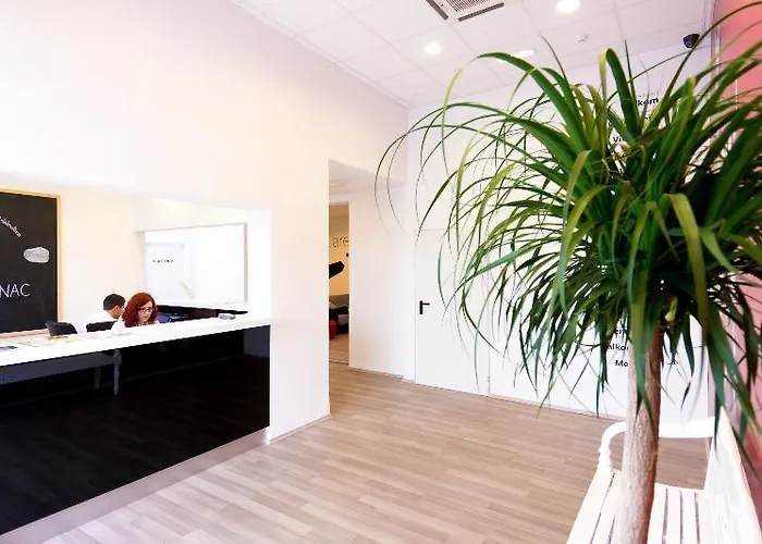 디자인 101 달마티나츠 스플리트