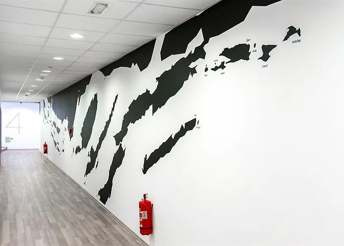 디자인 101 달마티나츠