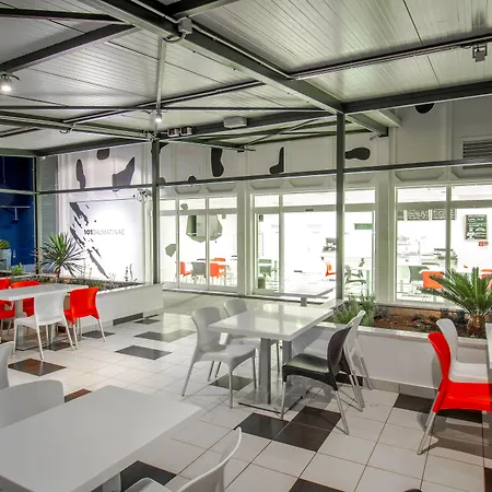 Design 101 Dalmatinac