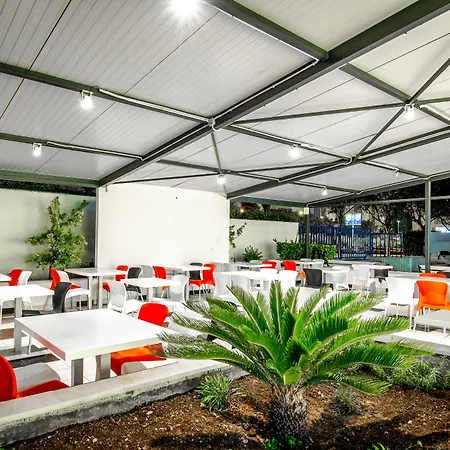 Design 101 Dalmatinac *