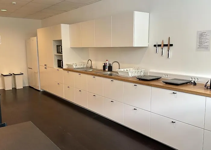 Design 101 Dalmatinac * Σπλιτ