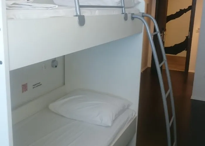 Design 101 Dalmatinac * Σπλιτ