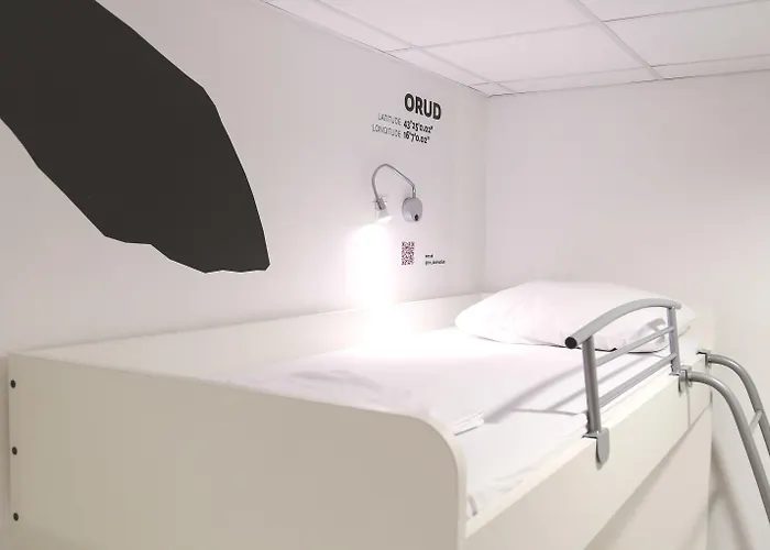 Design 101 Dalmatinac