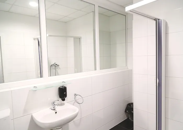 Design 101 Dalmatinac *