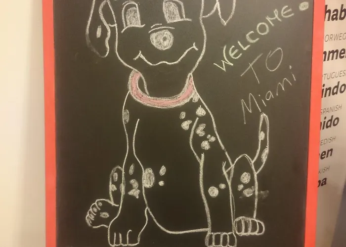 Design 101 Dalmatinac *