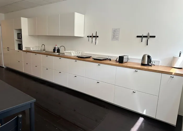 Design 101 Dalmatinac