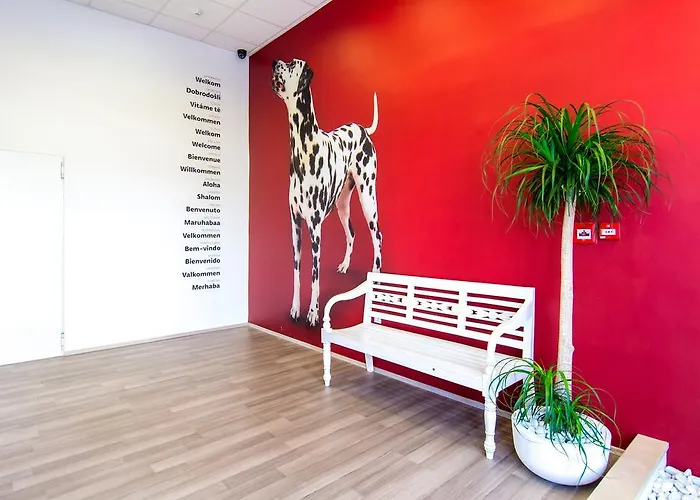 Design 101 Dalmatinac * Spalato