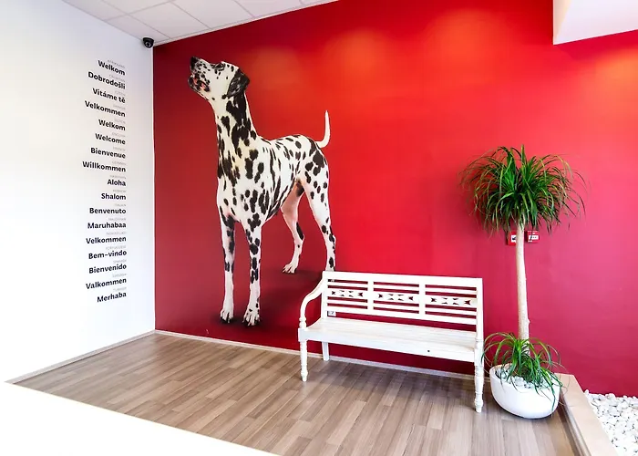 Design 101 Dalmatinac Spalato